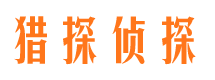 江东市侦探公司